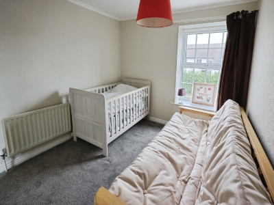 Picture 13